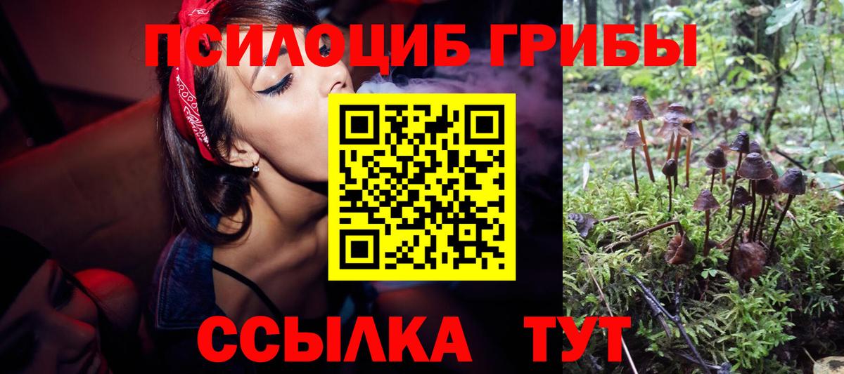 Галлюциногенные грибы прущие грибы Апрелевка