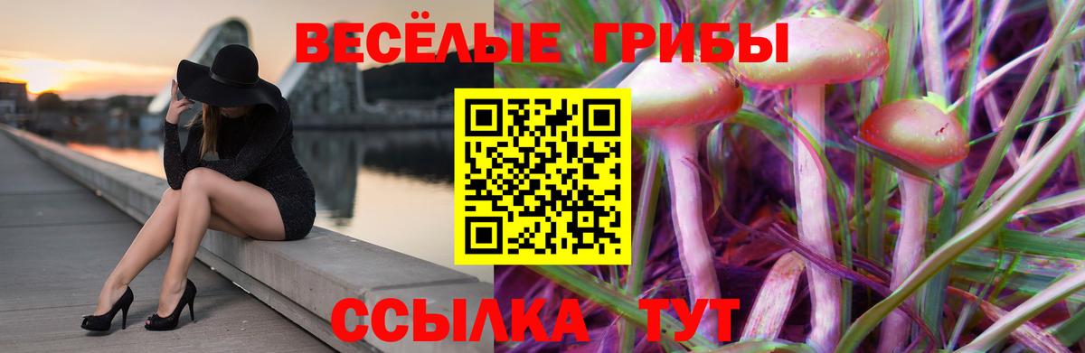Псилоцибиновые грибы ЛСД  Вход с VPN  Галлюциногенные грибы мицелий  Апрелевка 